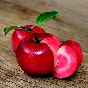 Malus 'Sweet Love'