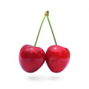 Prunus avium ‘Kordia’