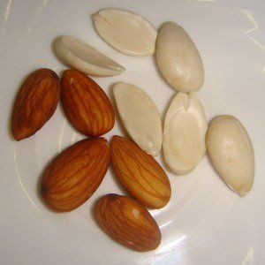 Prunus dulcis (Amandel)